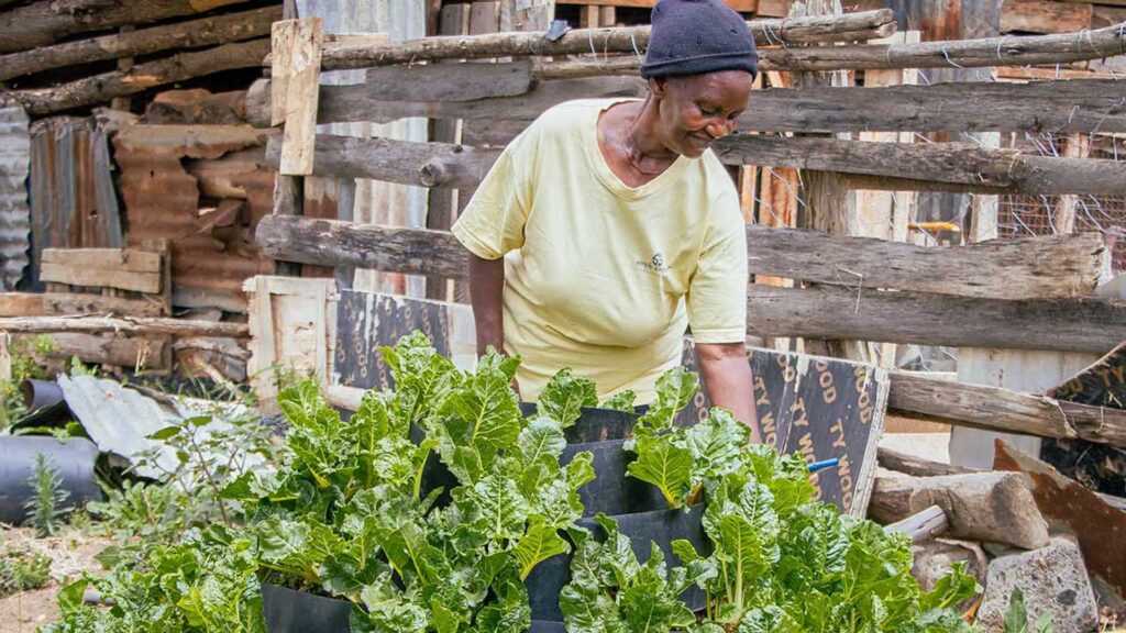 Agricultural Users